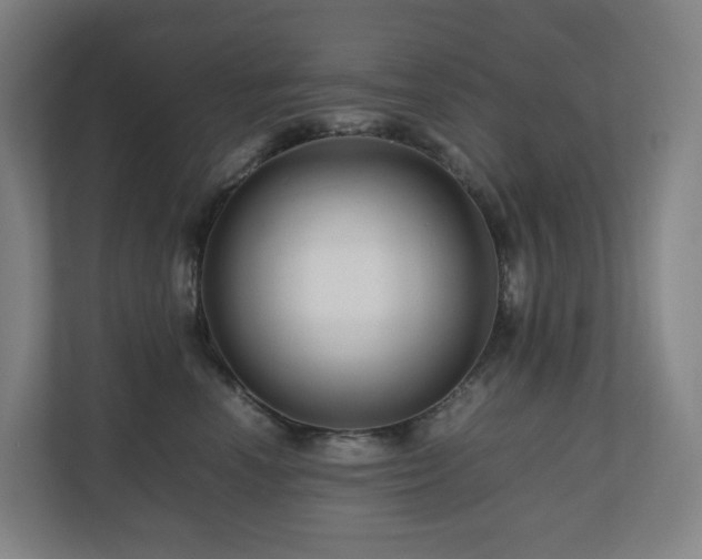 X0000111120666200906301312