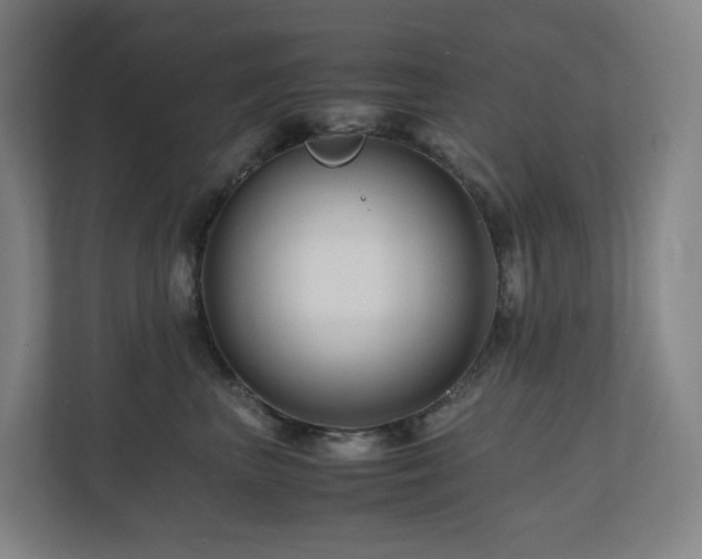 X0000111120667200906301312