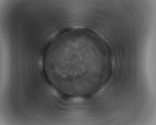 X0000111120668200906301312