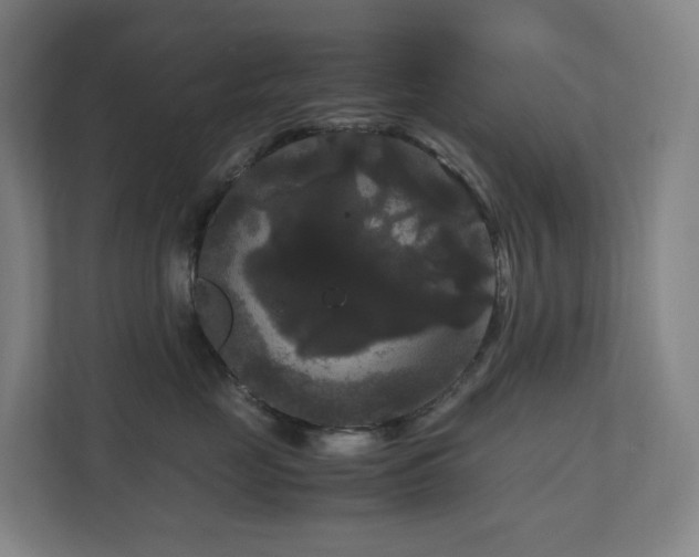 X0000111120669200906301312