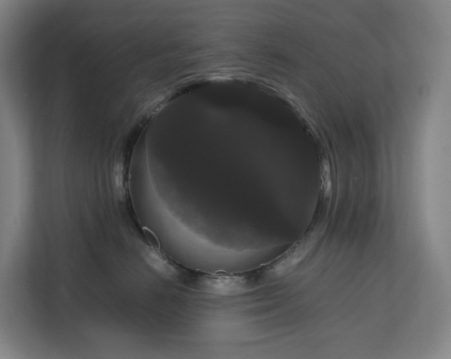 X0000111120670200906301312