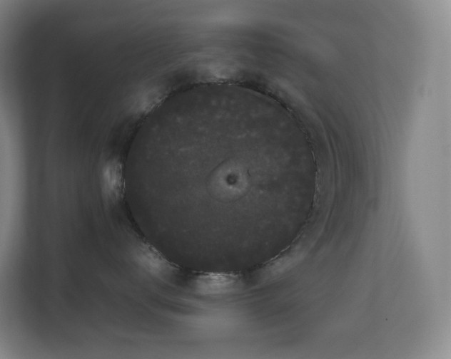 X0000111120672200906301312