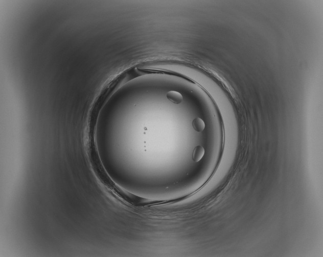 X0000111120677200906301311