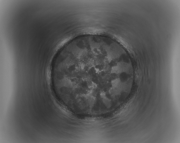 X0000111120679200906301311
