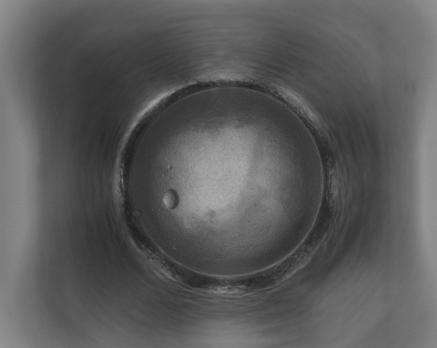 X0000111120680200906301311