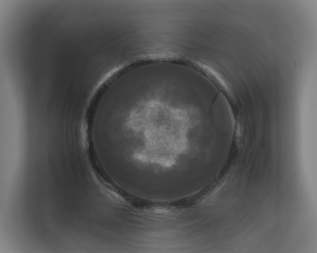 X0000111120684200906301311