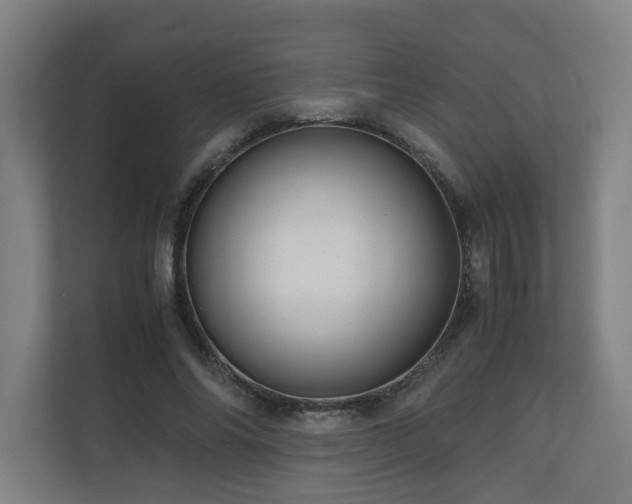 X0000111120686200906301311