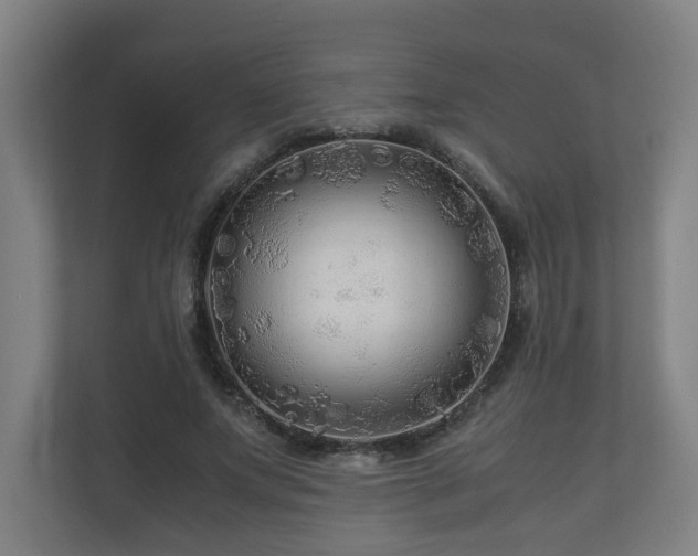 X0000111120687200906301311