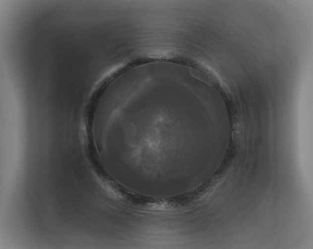 X0000111120688200906301311