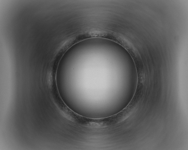 X0000111120690200906301311