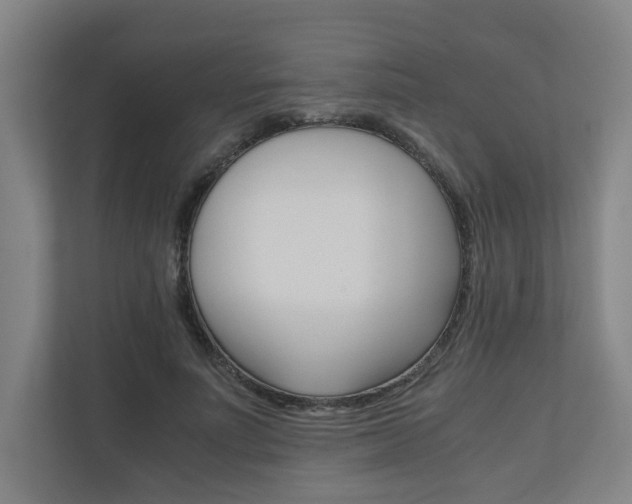 X0000111120691200906301311