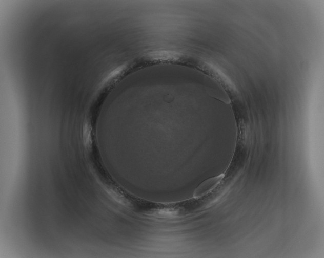 X0000111120692200906301311