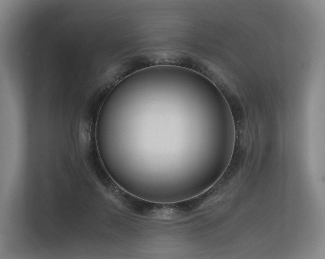 X0000111120695200906301311