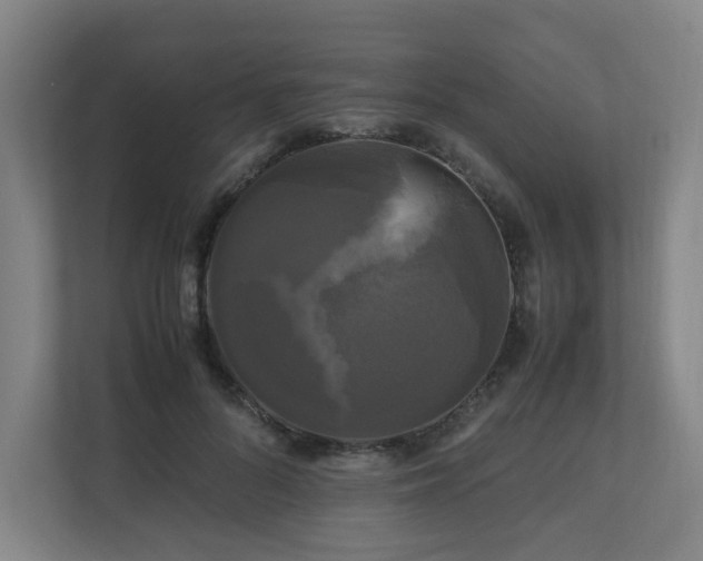 X0000111120696200906301311