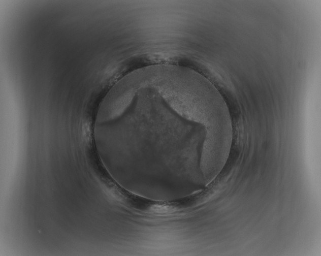 X0000111120699200906301311