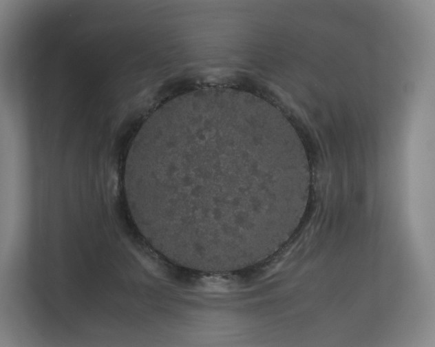 X0000111120703200906301311