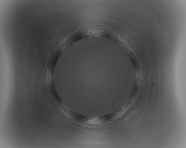 X0000111120705200906301311