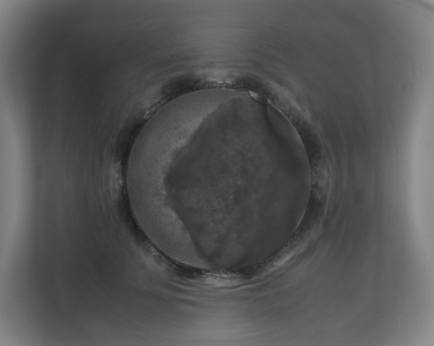 X0000111120707200906301311