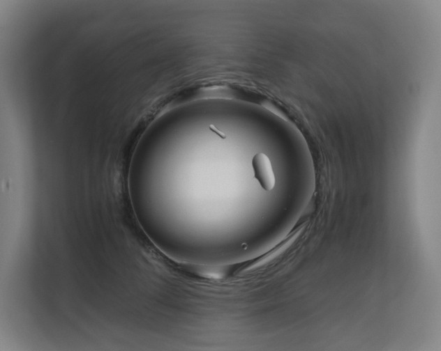 X0000111120708200906301311