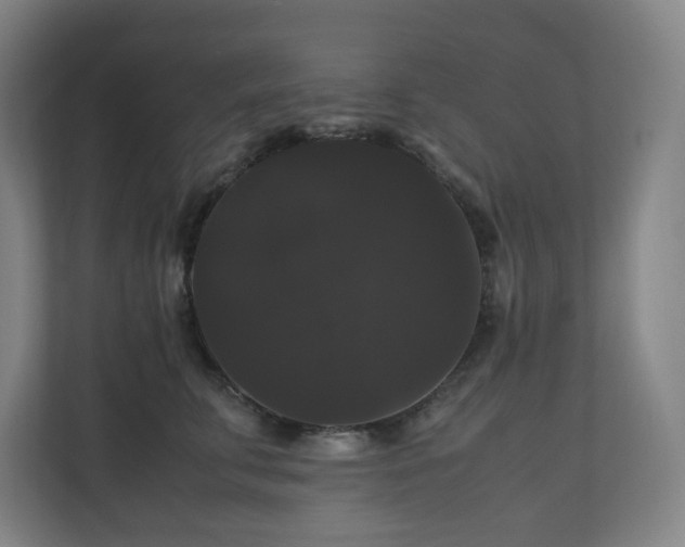 X0000111120711200906301311