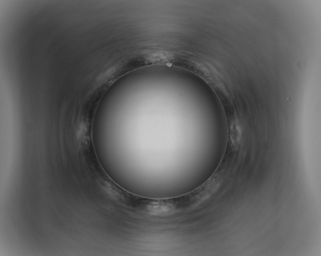 X0000111120714200906301311