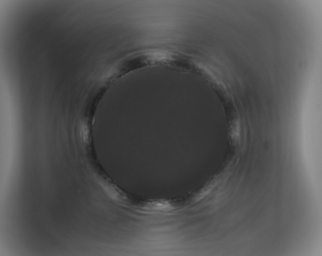 X0000111120715200906301311