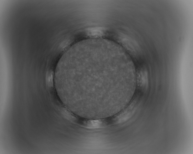 X0000111120717200906301310