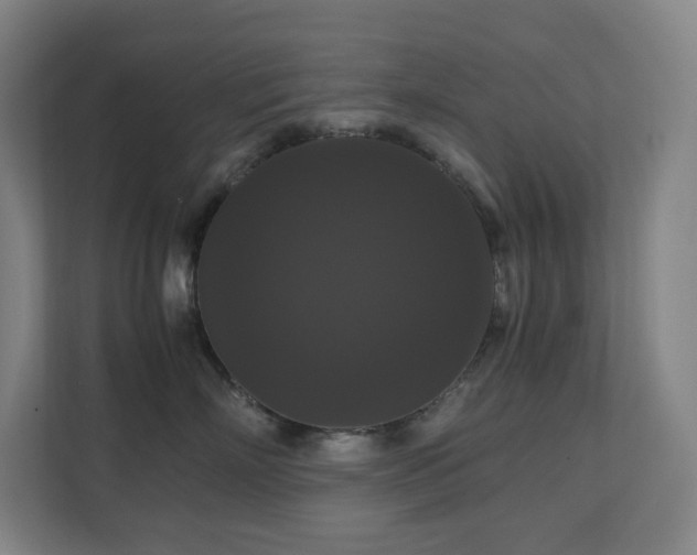 X0000111120718200906301310
