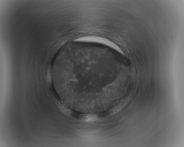 X0000111120719200906301310