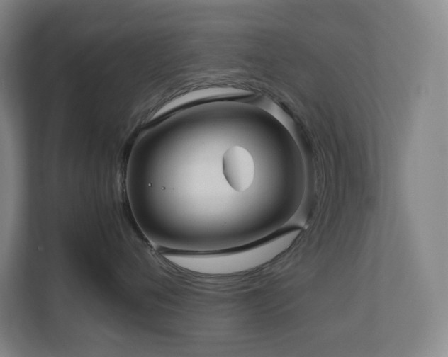 X0000111120720200906301310