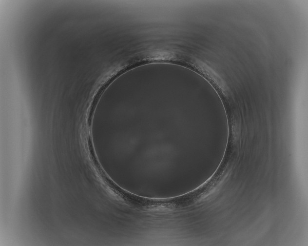 X0000111120721200906301310
