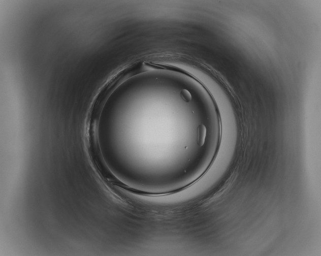 X0000111120725200906301310