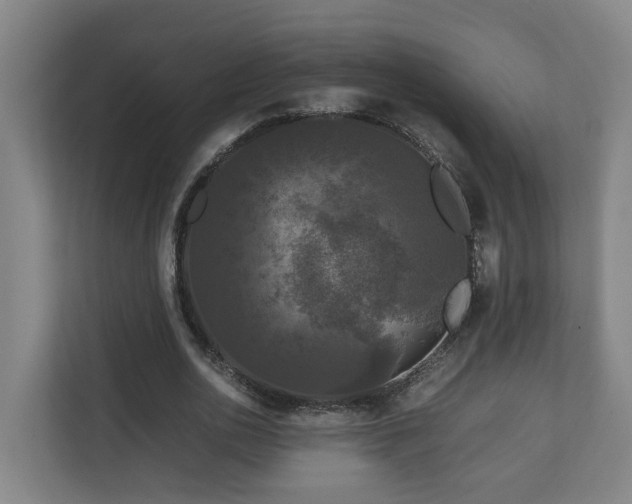 X0000111120726200906301310
