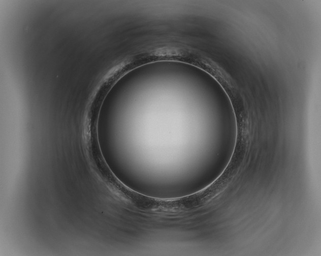 X0000111120727200906301310