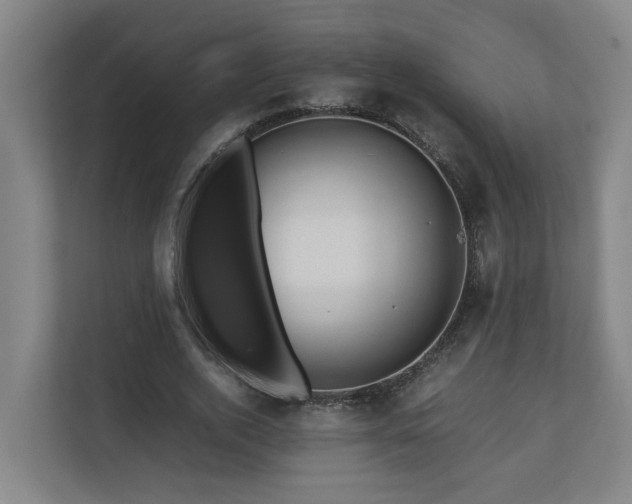 X0000111120728200906301310