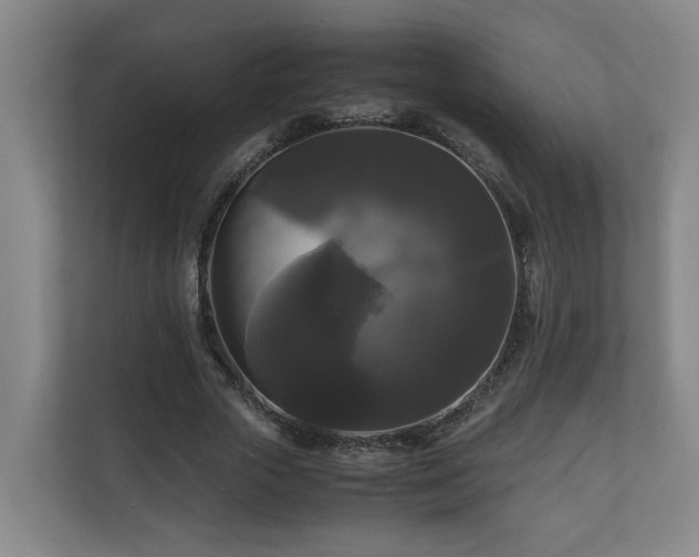 X0000111120729200906301310