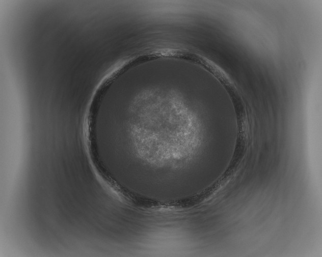 X0000111120730200906301310