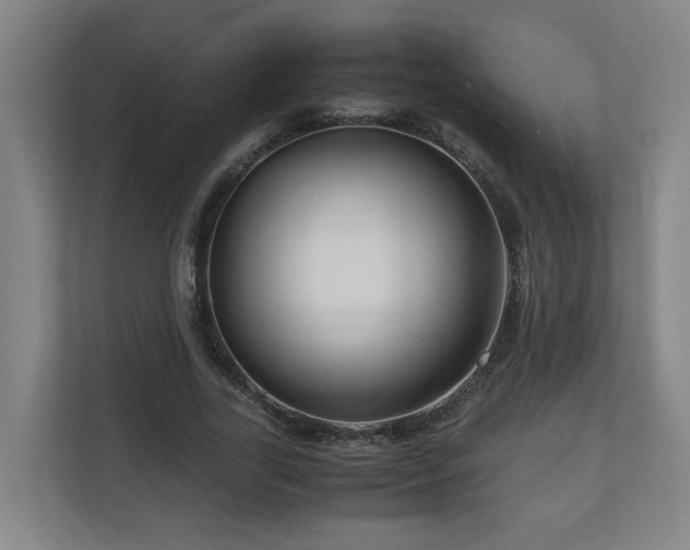 X0000111120731200906301310