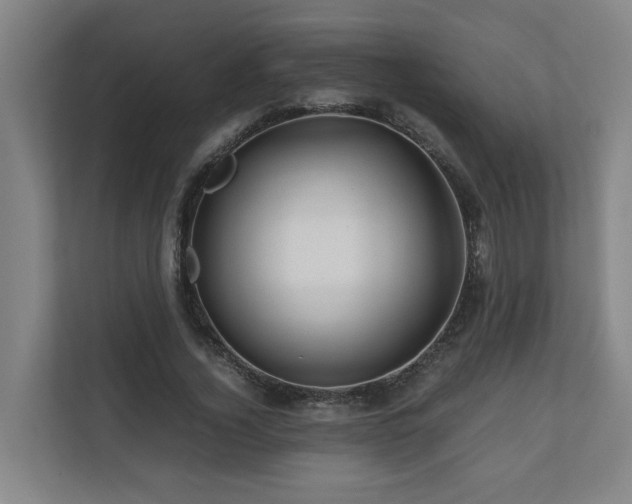 X0000111120732200906301310