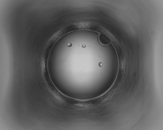 X0000111120733200906301310