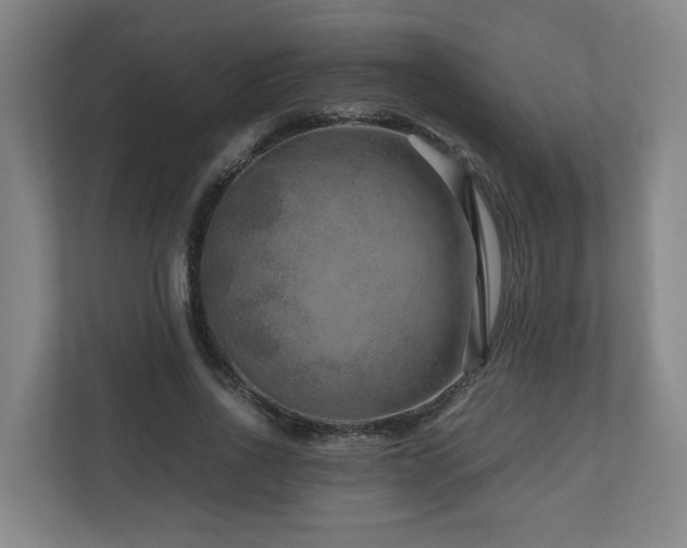 X0000111120734200906301310