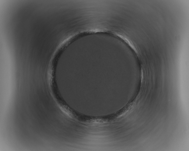 X0000111120736200906301310