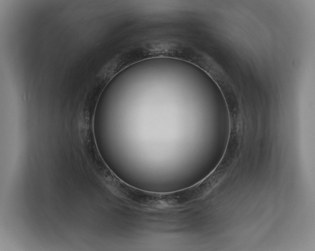 X0000111120737200906301310