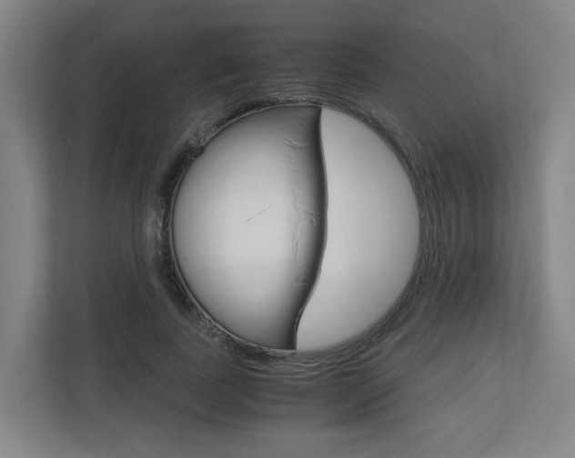 X0000111120739200906301310