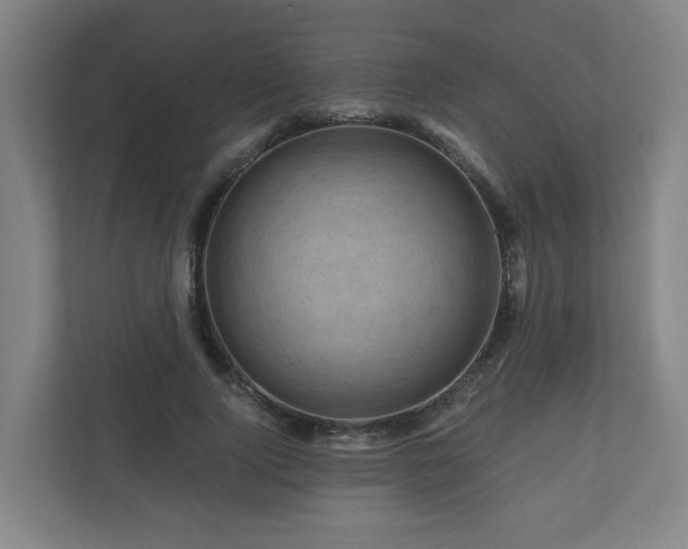 X0000111120740200906301310