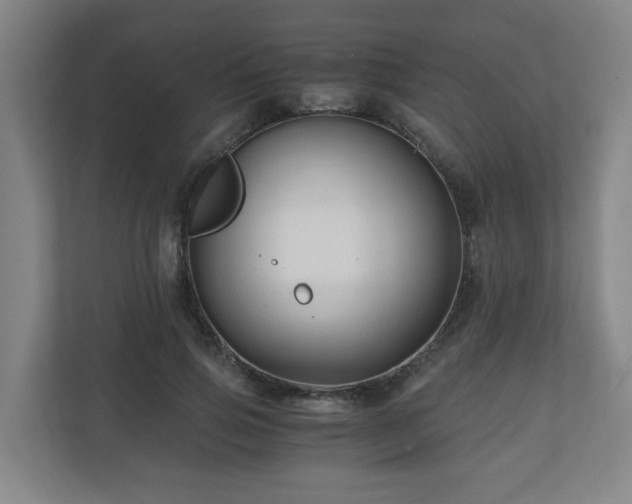 X0000111120741200906301310