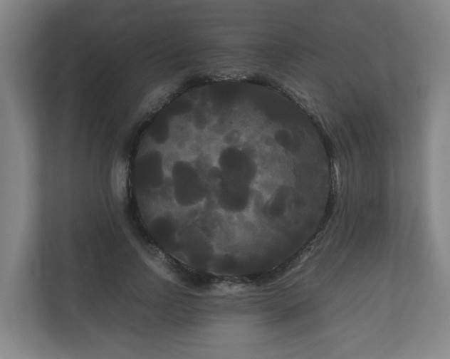X0000111120742200906301310