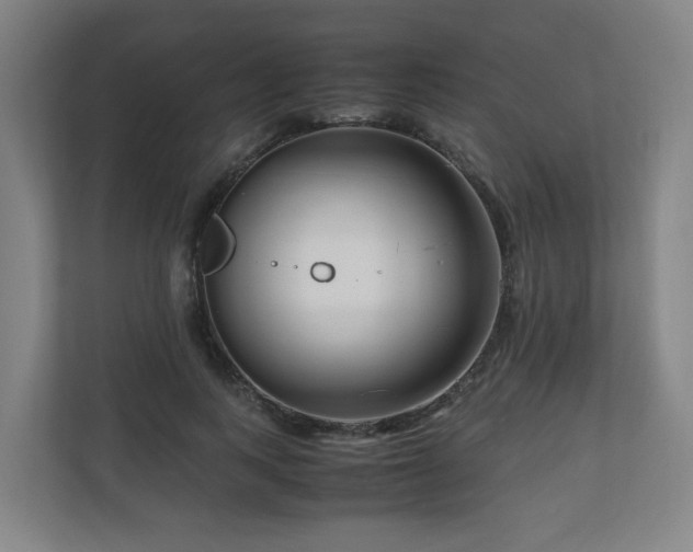 X0000111120743200906301310