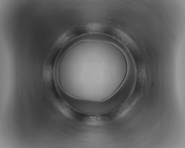 X0000111120744200906301310