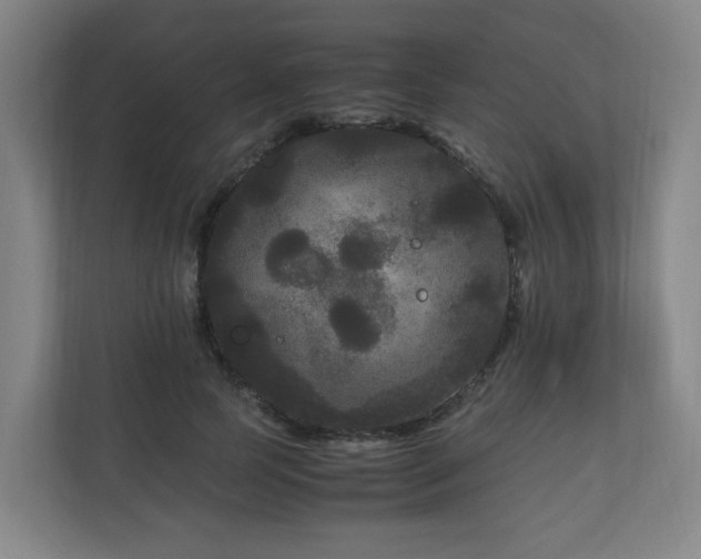 X0000111120745200906301310